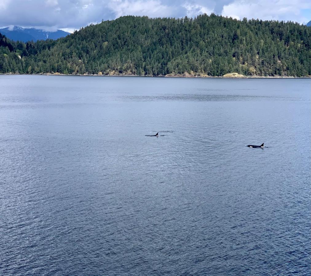 Earls Cove Orca View Bed & Breakfast Egmont Bagian luar foto